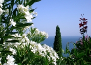 开云体育入口-活塞掀翻爵士！末节14分锁定乾坤，哈登一战唤醒沉睡之魂