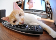 开云体育中国-从曼城到罗马城，争冠与逆转的双重奏