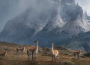 开云体育登录-落日熔金时，哈利伯顿终场绝响与太阳对山西的战术审判