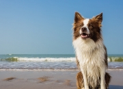 开云体育入口-天穹与大地，个人巨星与团队胜利的交响诗