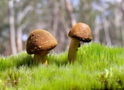 开云-撕裂金缕衣，照亮混沌夜，坎特的隐形战争与唯一性宣言