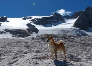 开云体育app-双线焦点，西甲国家德比硝烟与塞内加尔的巴黎突围战