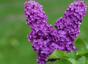 开云下载-冰封王座，年度焦点之夜的伦纳德，定义大场面唯一真理