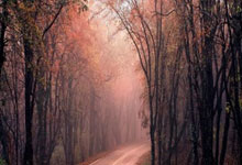 开云体育中国-西雅图海湾者队长激励全队，挑战强敌士气高昂