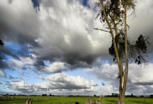 开云体育入口-内马尔点燃！圣殿狂欢夜诠释足球信仰