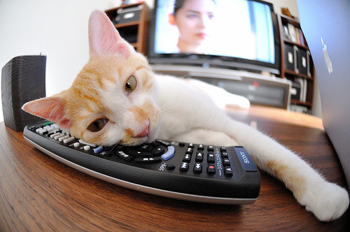 从曼城到罗马城，争冠与逆转的双重奏