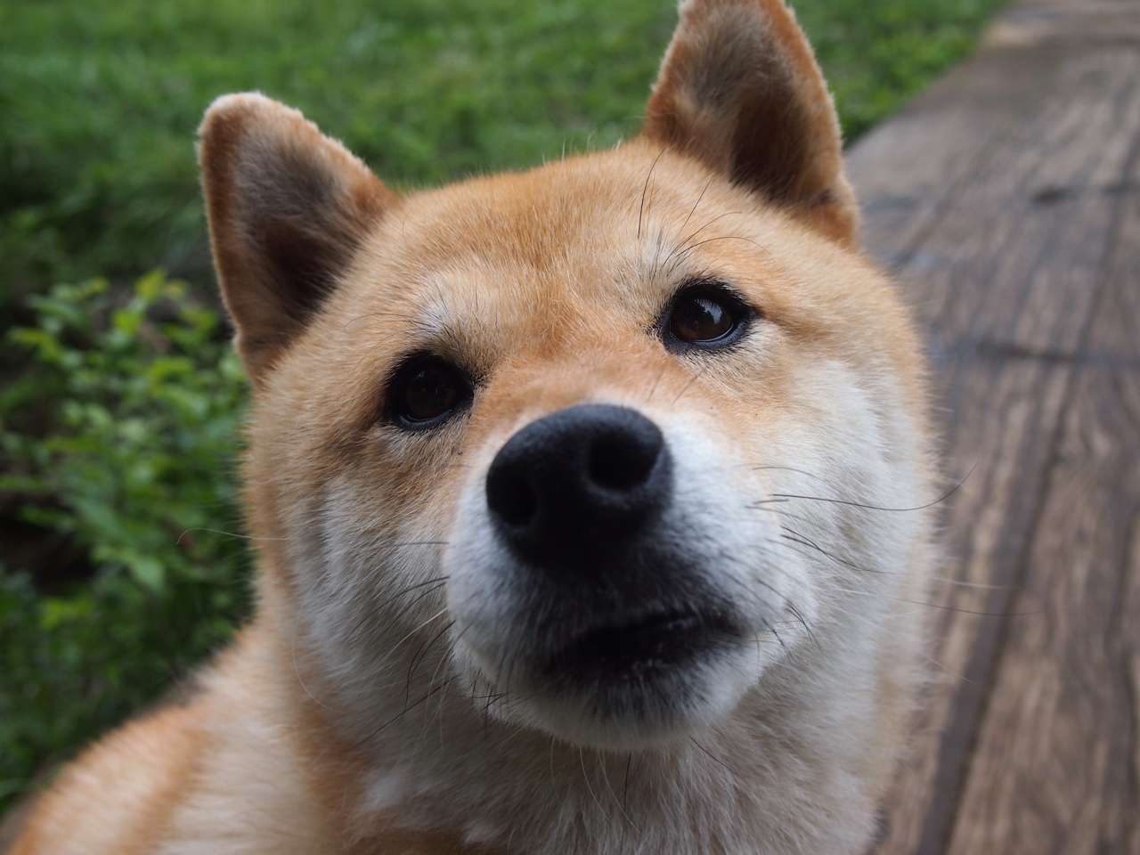 F1发动机法则,杜兰特在街道赛之夜的唯一性进攻