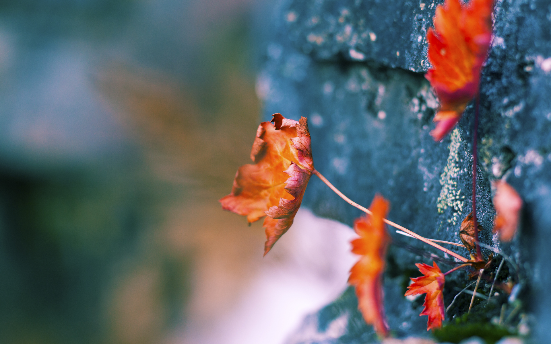 绿茵场上的扣篮，当活塞的钢铁洪流击溃黄蜂的华丽风暴