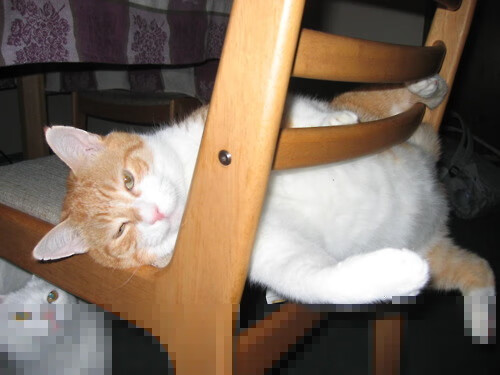 冰与火的决胜局,马克西灼穿开拓者,奇才逆转乐章背后的寂静革命