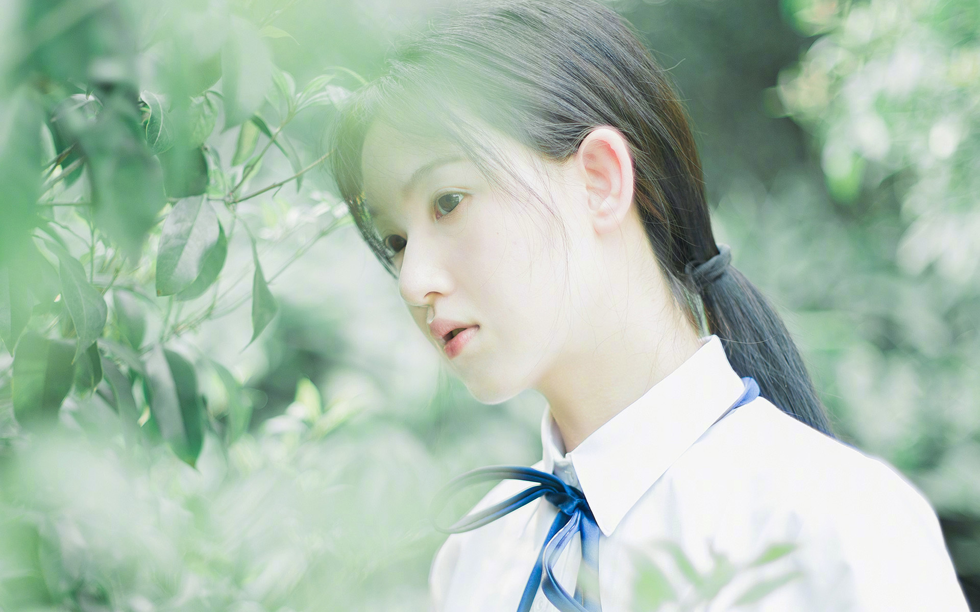 狼的图腾，戈贝尔史诗级觉醒，广厦悬崖边的猎杀之战