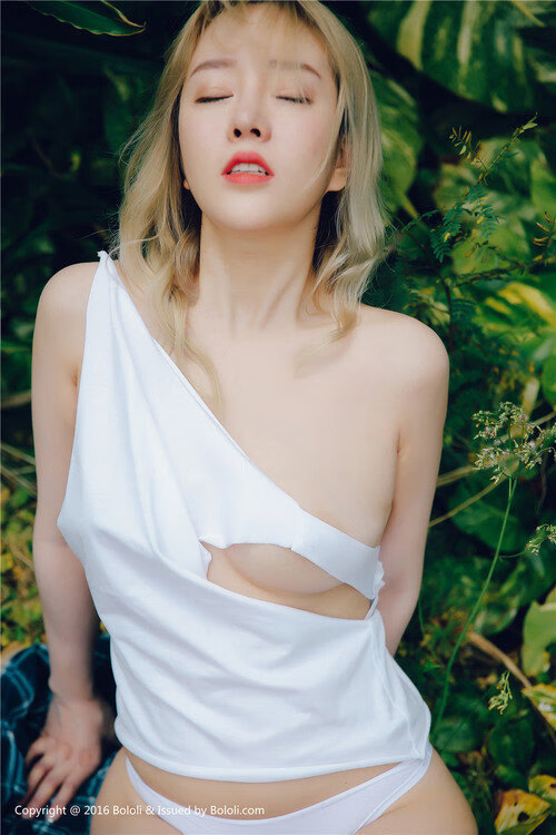 国王铁骑踏碎天山梦，范弗利特于权杖之巅加冕东决之王