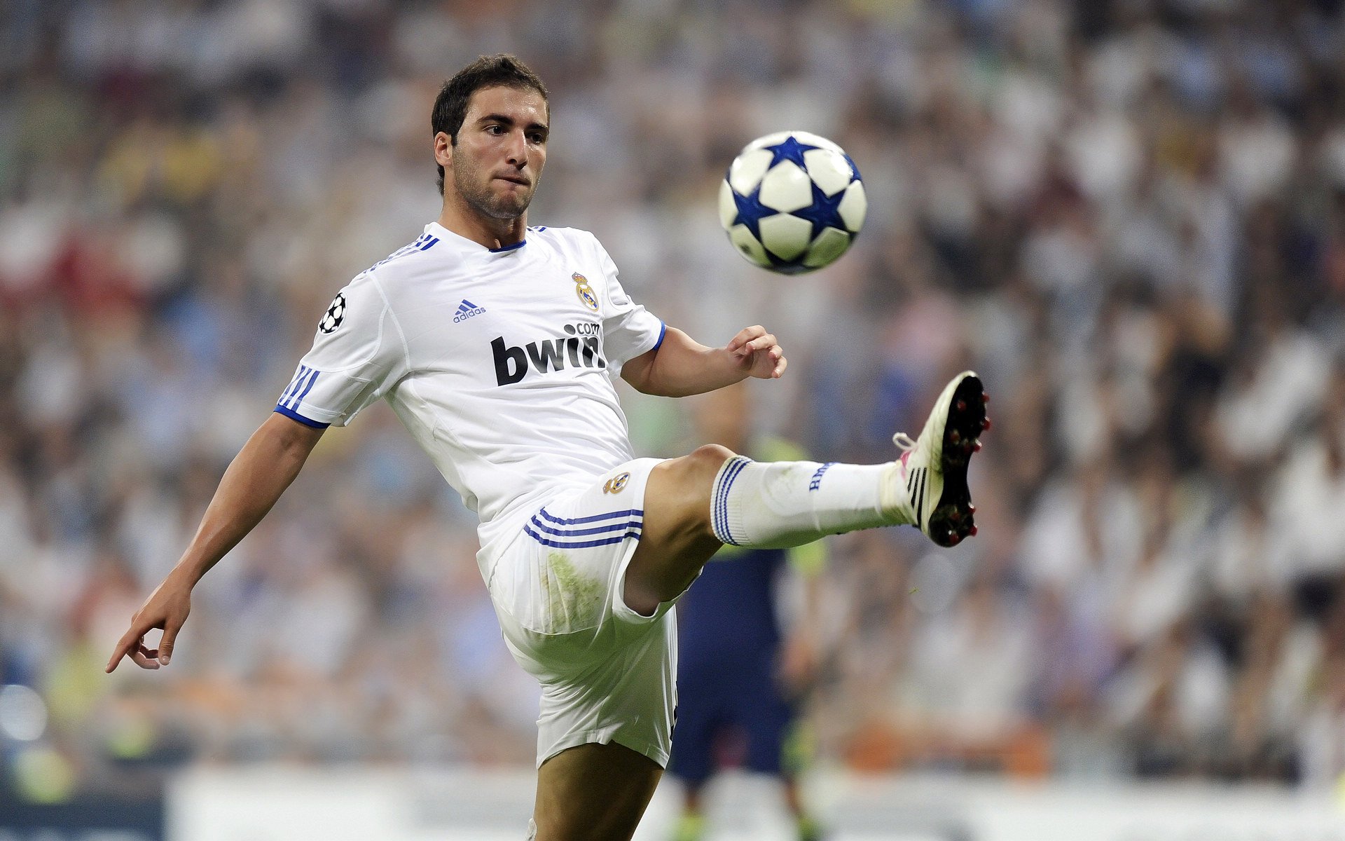 绿茵场上的尼罗河风暴,当欧冠的星光映照大漠雄心