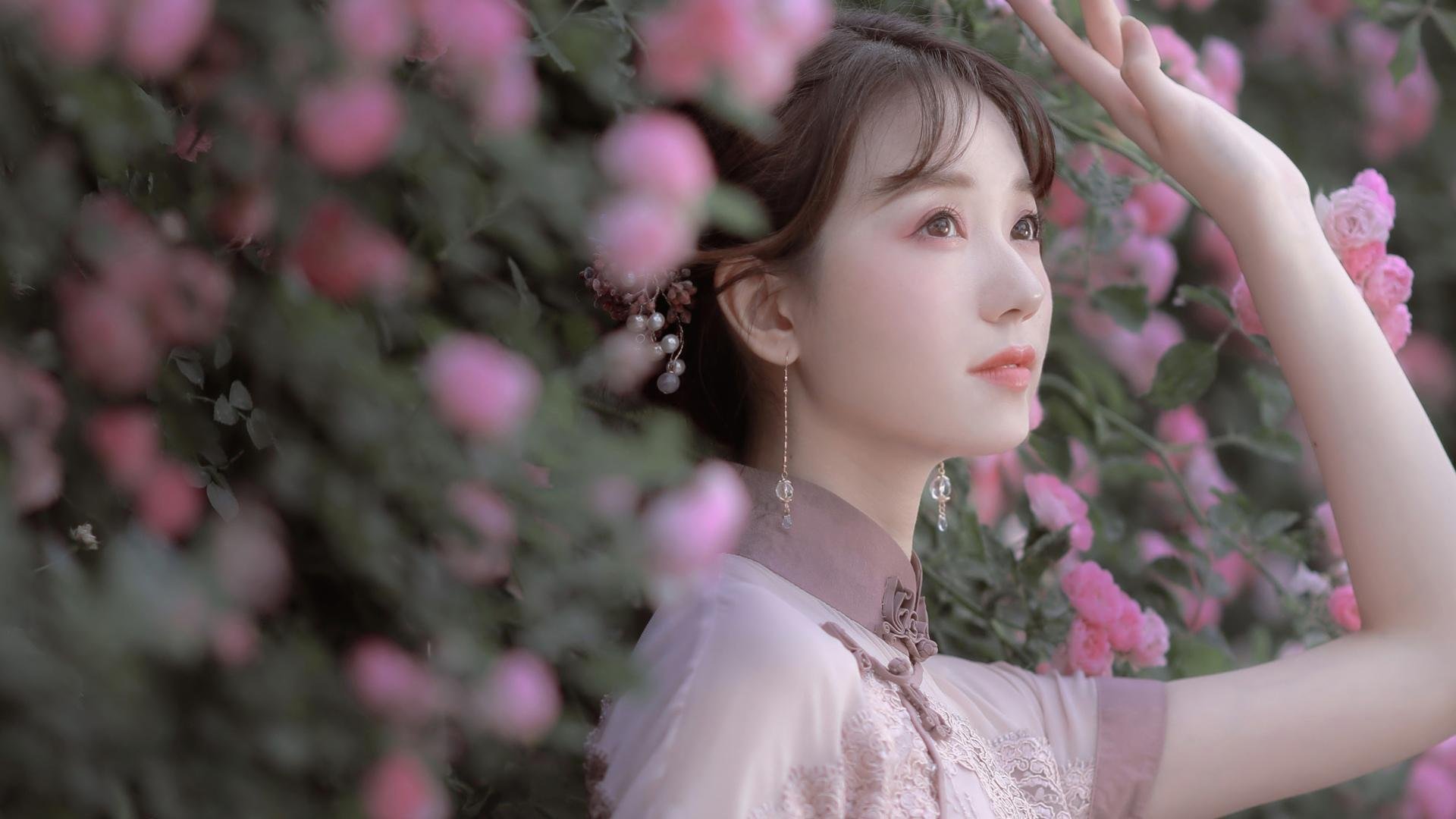 猎人与飞鸟,当钢铁防线遭遇逆势绽放的刀锋