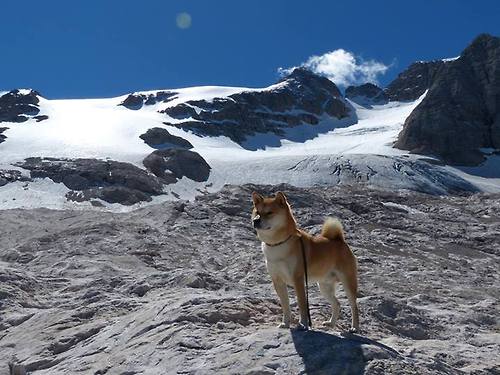 双线焦点，西甲国家德比硝烟与塞内加尔的巴黎突围战