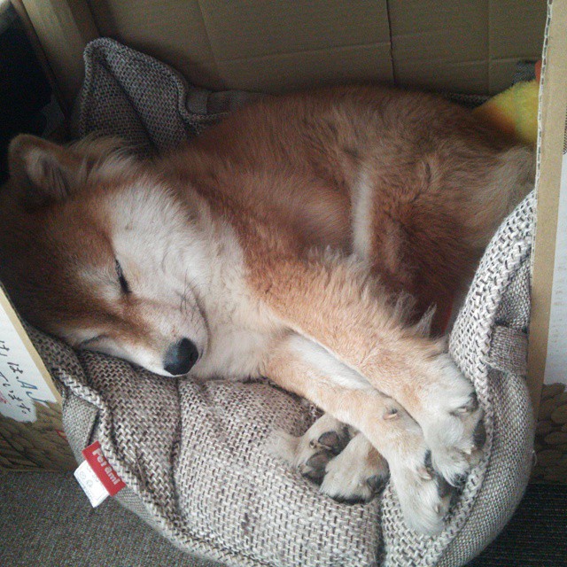 夜色战火中，唯一的持刃者，加克波定义焦点之夜