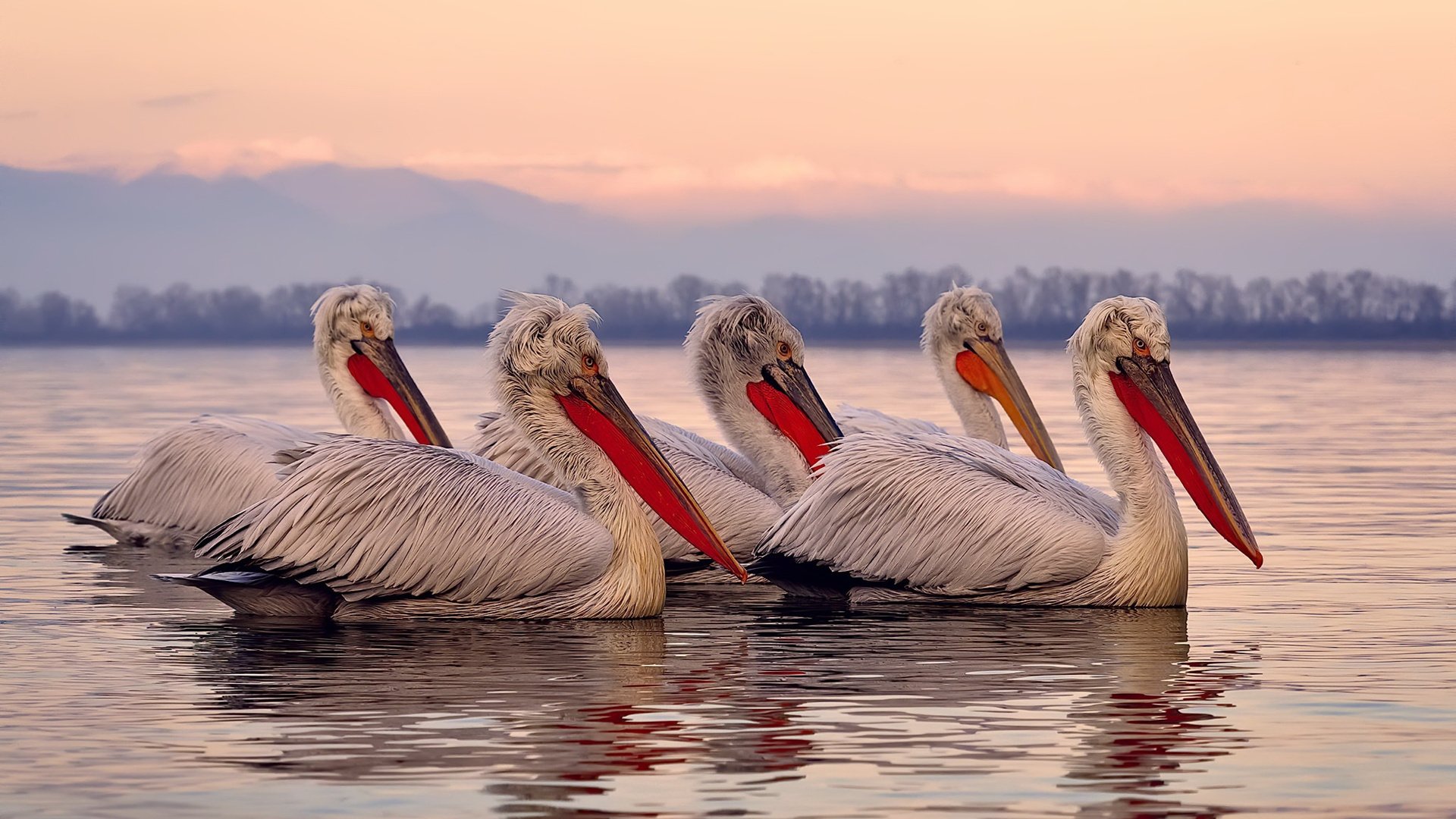 世界排名争夺战之夜,当舞台喧嚣,他成为唯一的静点与爆点