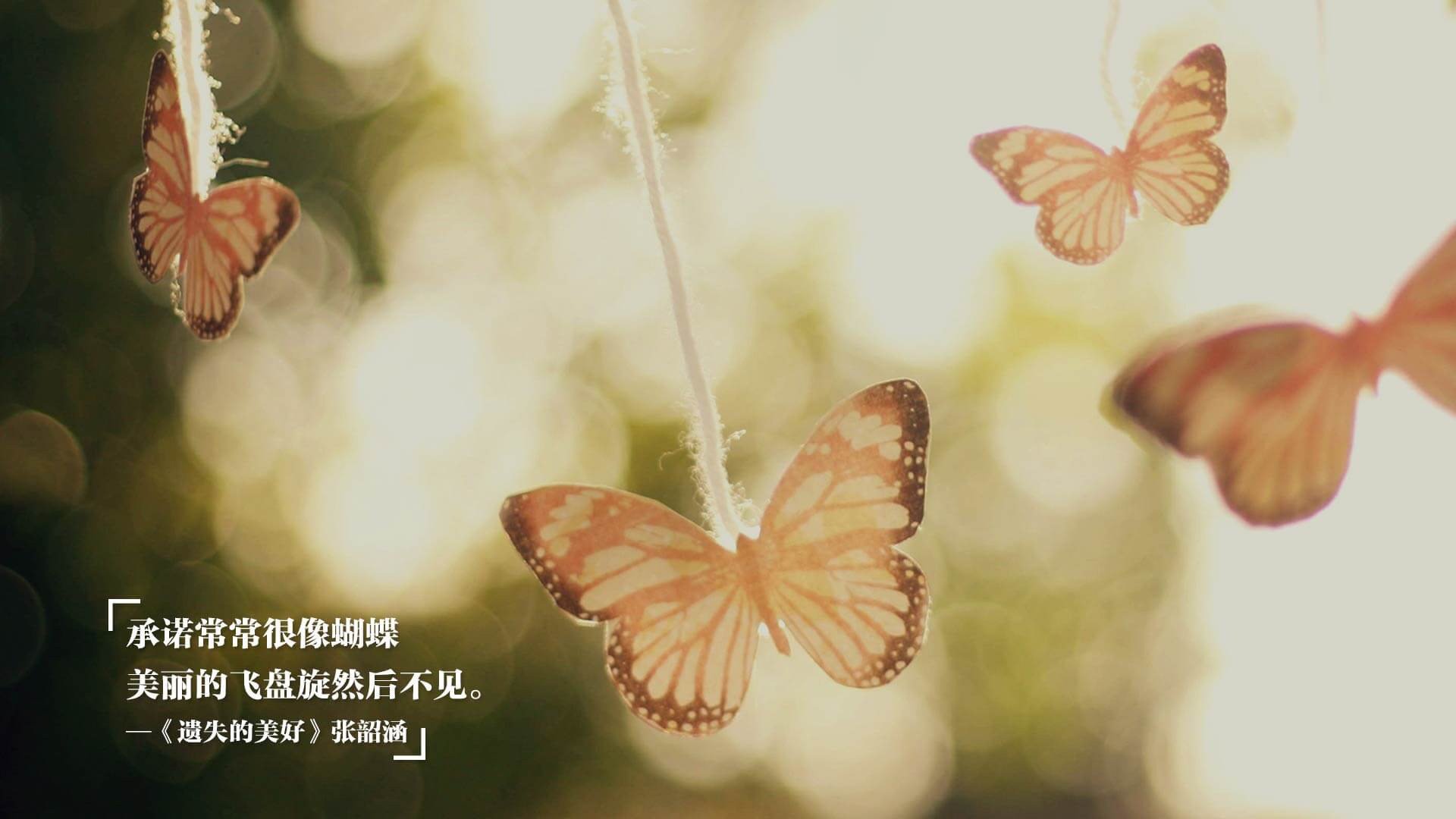 双面掌控力,哈利伯顿的魔法之手与热火的钢铁洪流