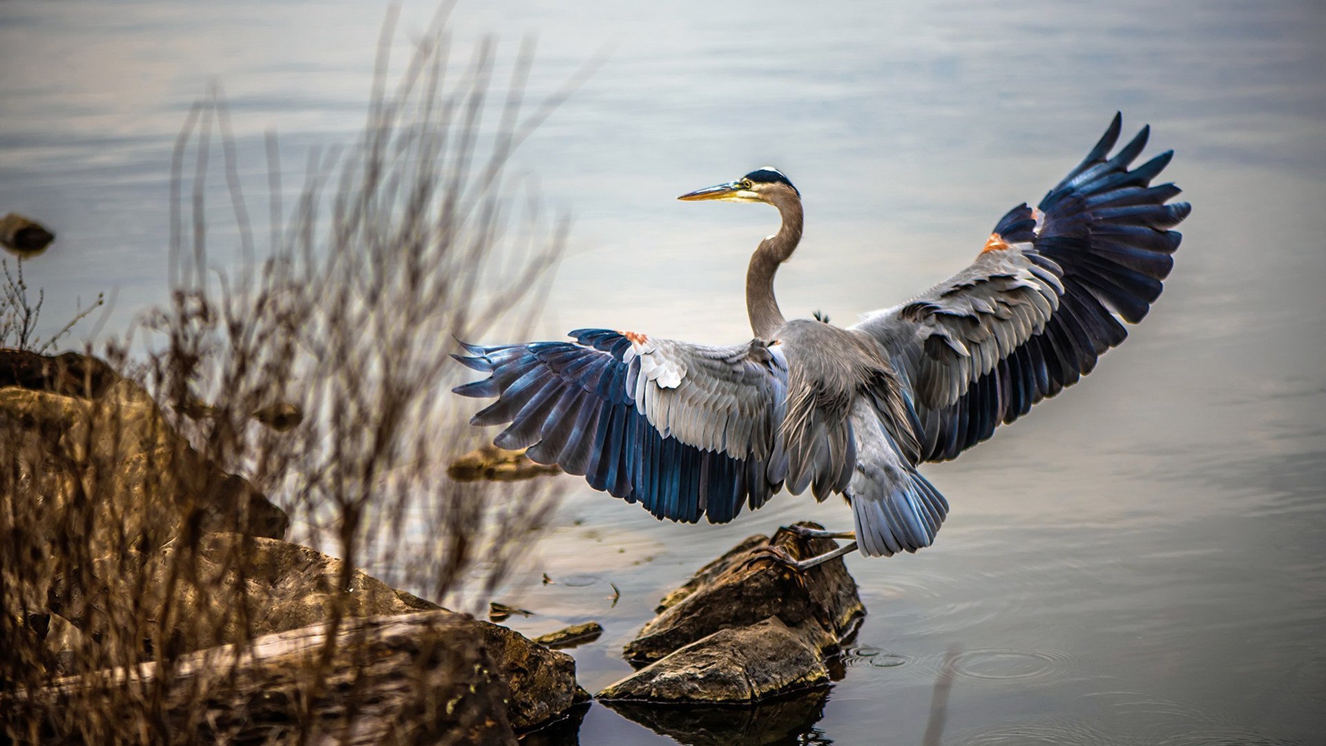 方案（选一或融合使用）