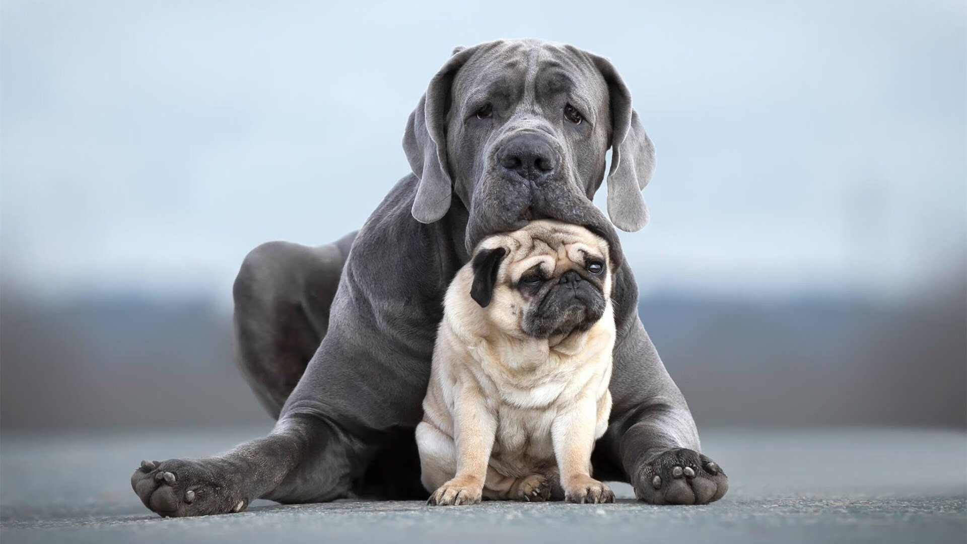 当德罗赞用中距离跳投对抗时代,一场属于老派灵魂的胜利