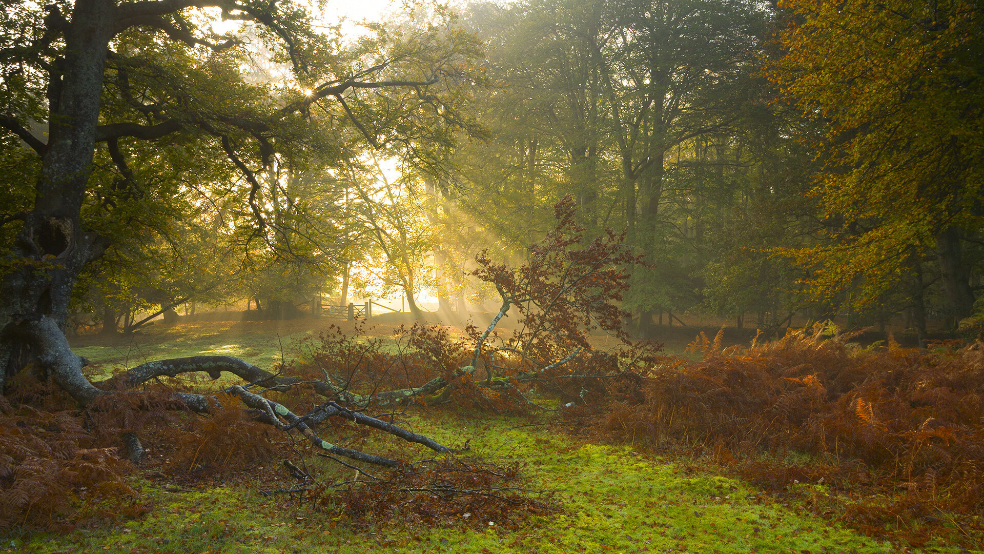 铁血纪律与孤胆传奇，年度战役双重奏