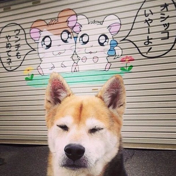 当手术刀遇见狂想曲,范弗利特完美控场与爵士火力交响下的唯一性胜利