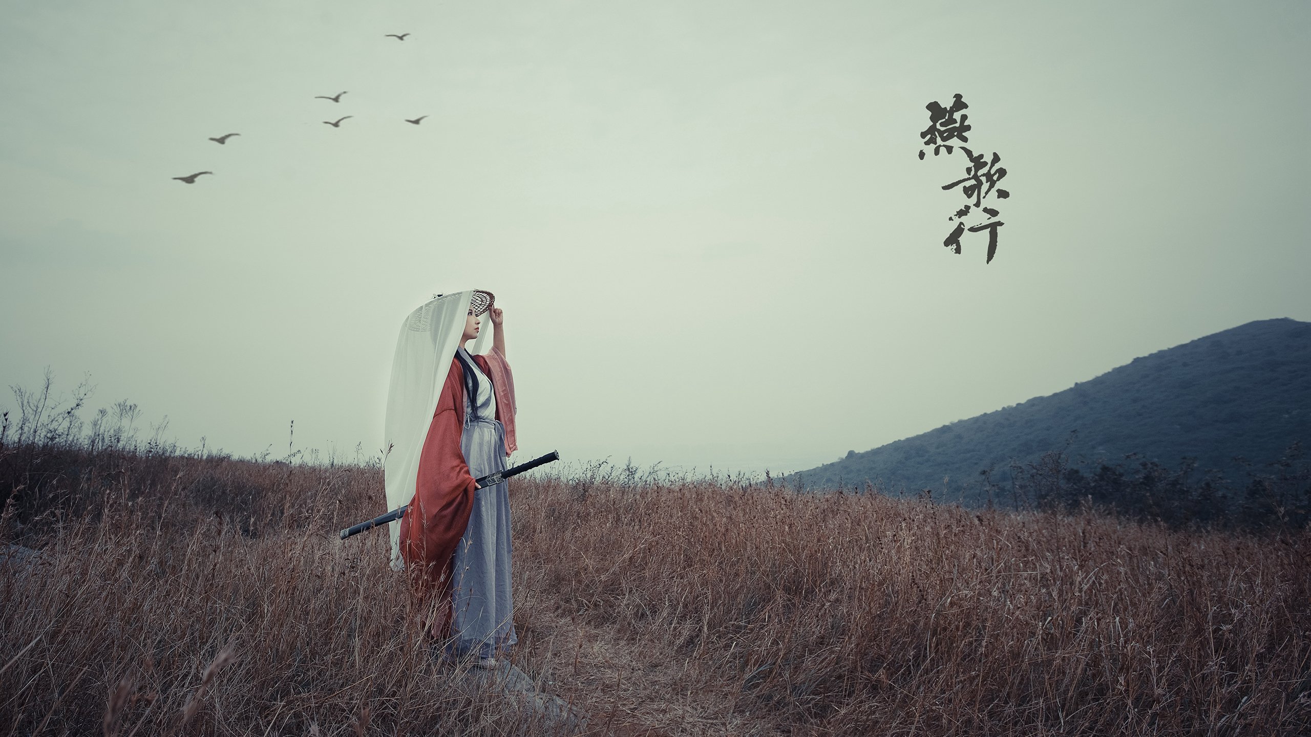 根据您的要求，我先扩展思维，构思一个能统领全文、引人入胜的标题，然后撰写文章内容