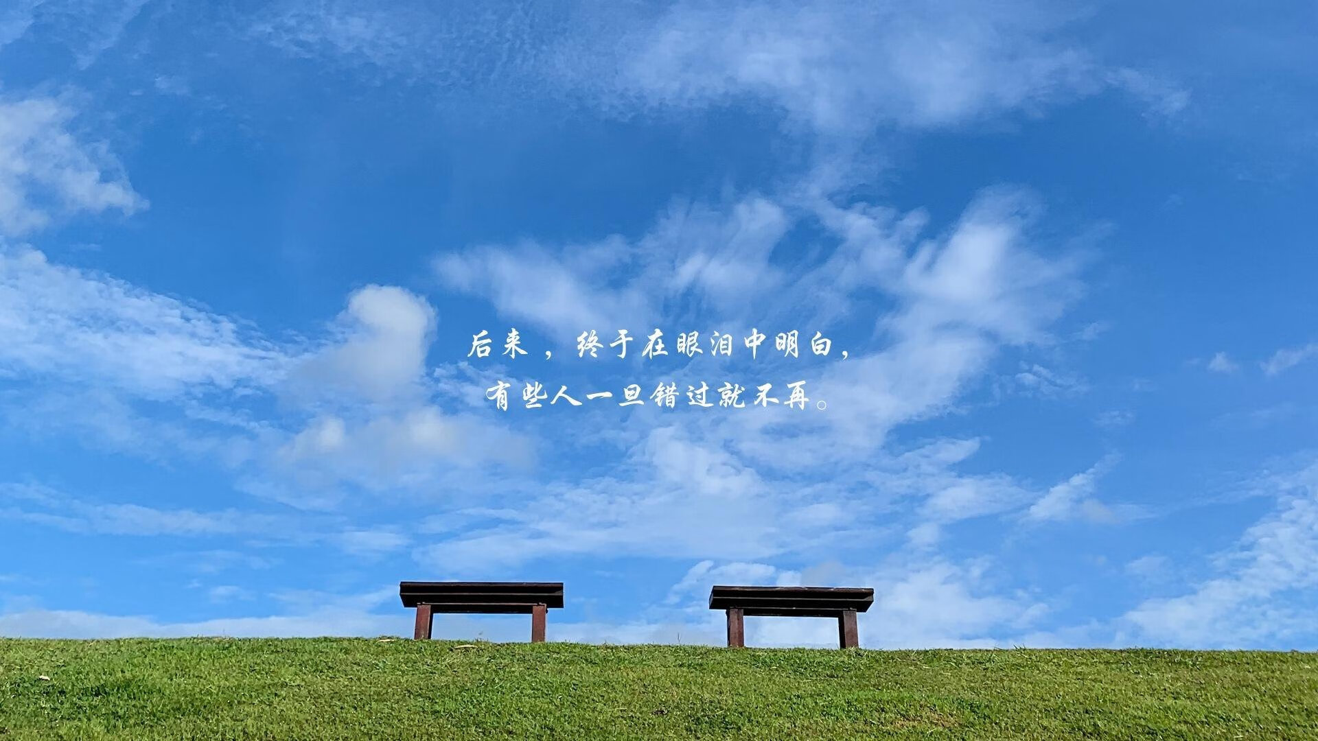 孤勇者的独白，2026世界杯A组，厄瓜多尔掀翻袋鼠军团，贝林厄姆书写唯一传奇
